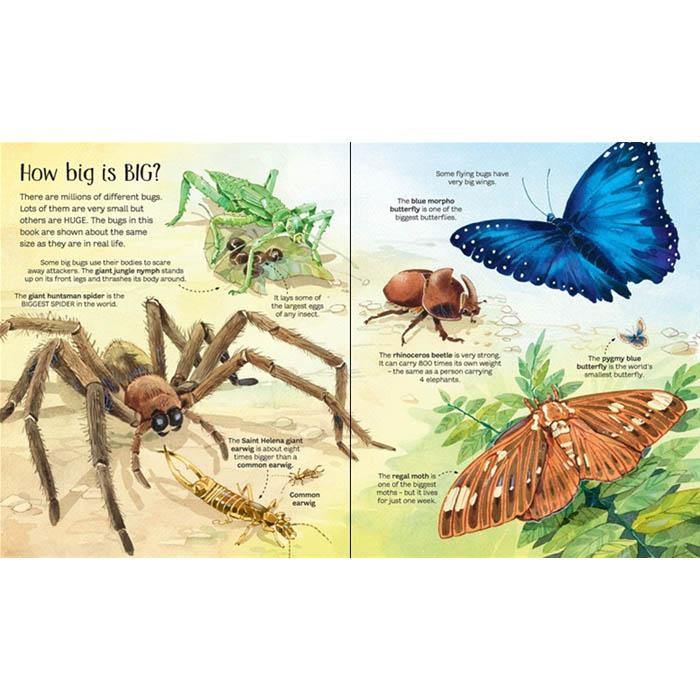 Big book of bugs Usborne