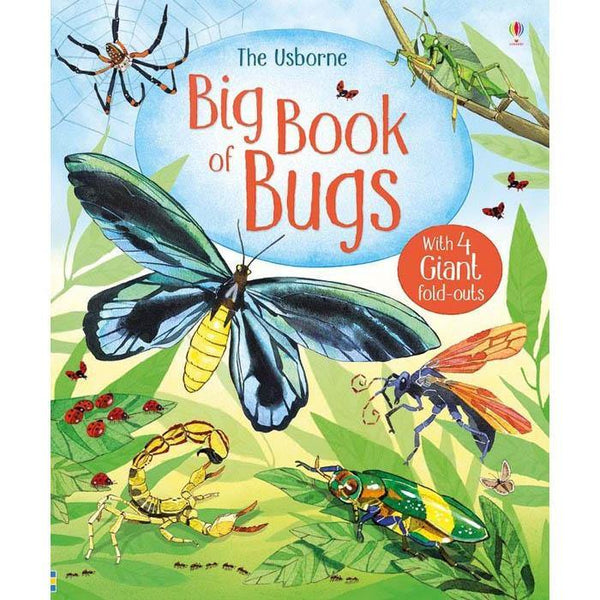 Big book of bugs Usborne