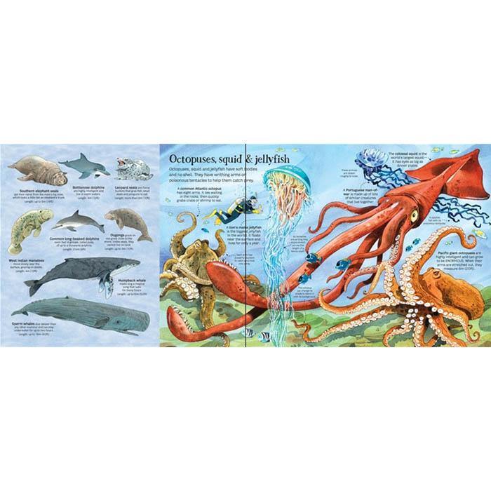 Big book of sea creatures Usborne