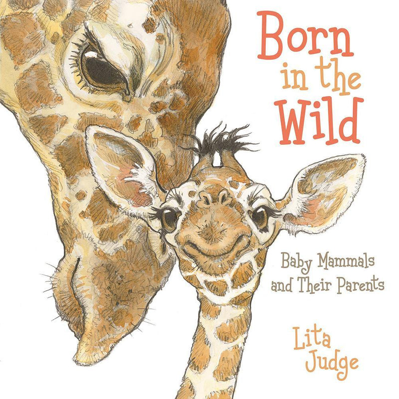Born in the Wild: Baby Animals and Their Parents (Boardbook) Macmillan US