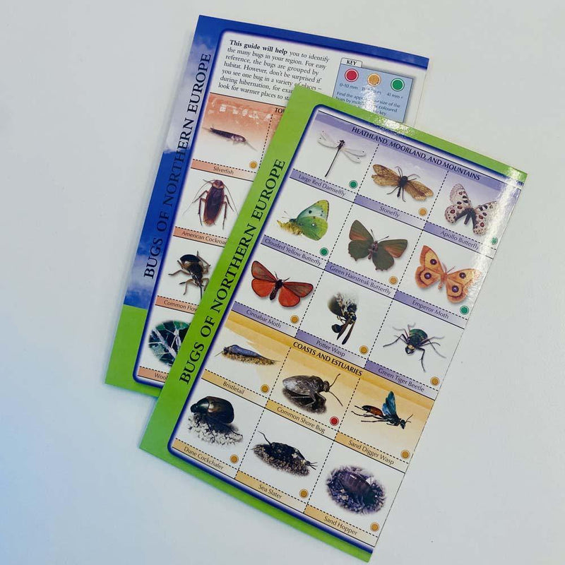 Bug Hunter - Nature Activities (Paperback with Props) DK UK