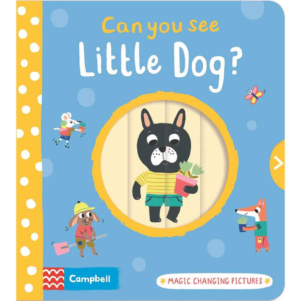 Can You See Little Dog? - 買書書 BuyBookBook