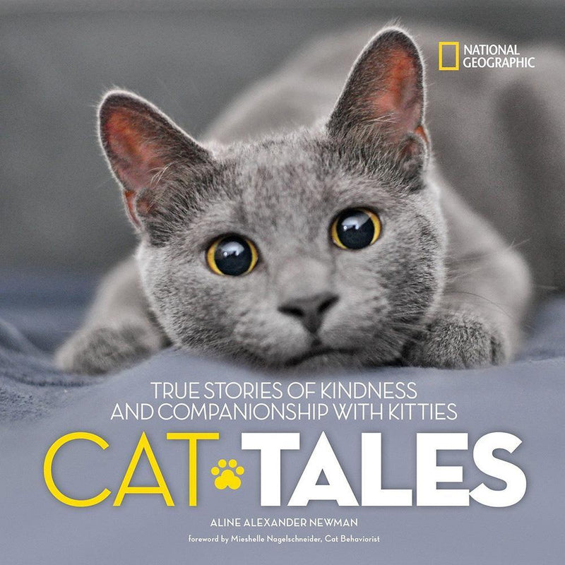 Cat Tales (Hardback) National Geographic