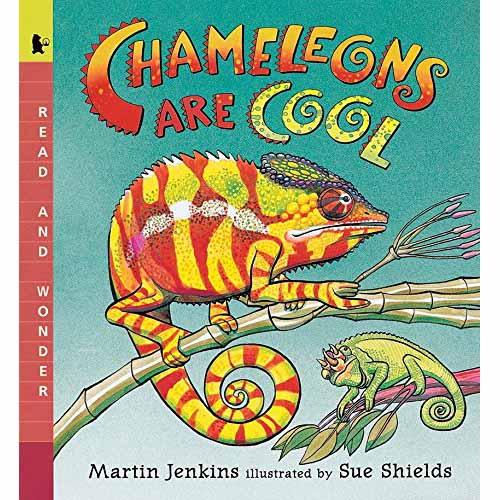 Chameleons Are Cool Candlewick Press