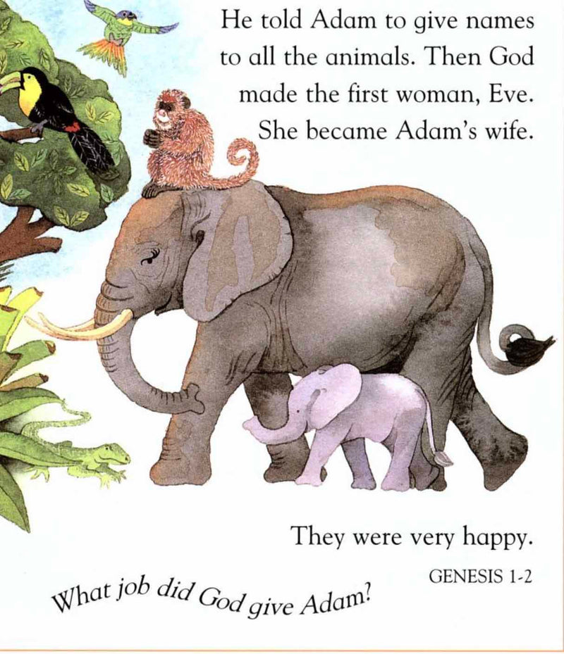 Child's First Bible, A (Hardback)