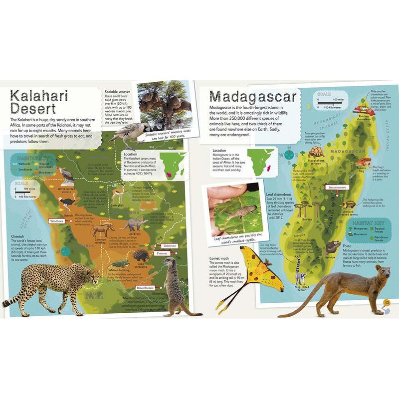 Children's Illustrated Animal Atlas (Hardback) DK UK