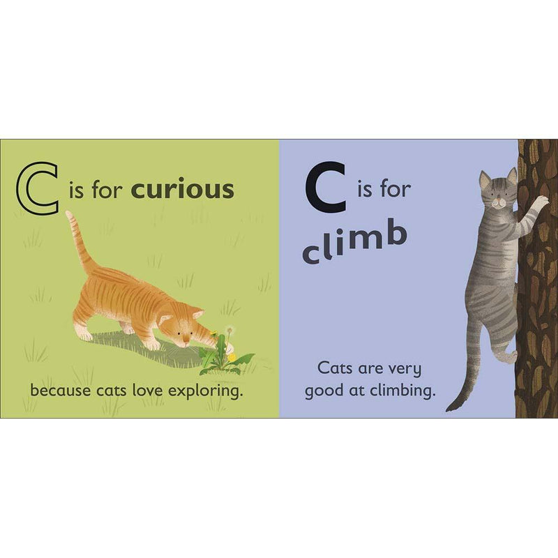 C is for Cat (Board book) DK UK