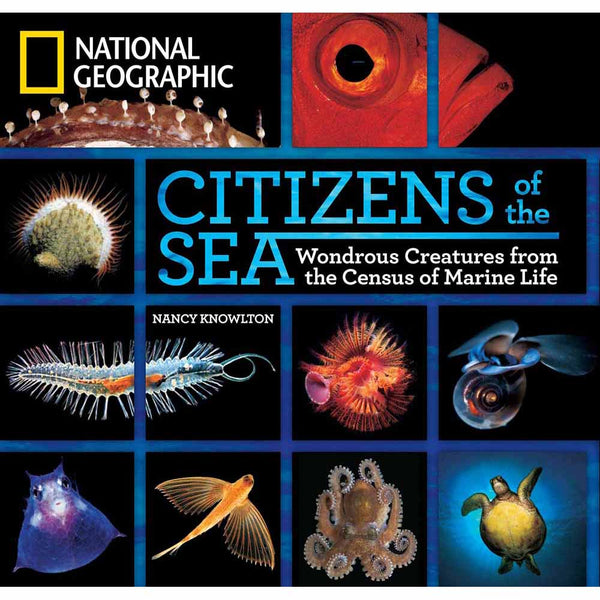 Citizens of the Sea (Hardback) - 買書書 BuyBookBook