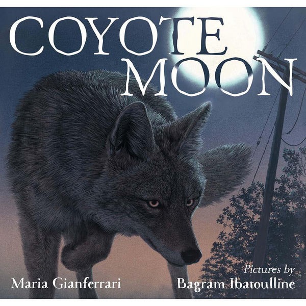 Coyote Moon (Hardcover) Macmillan US