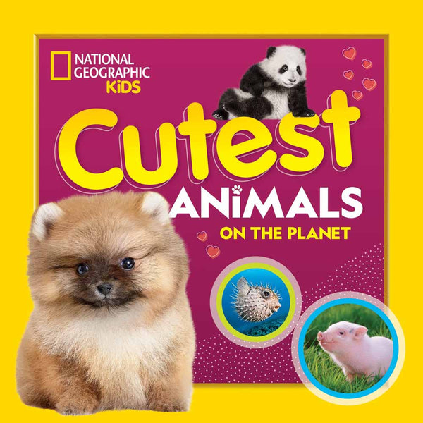 Cutest Animals on the Planet (National Geographic Kids) - 買書書 BuyBookBook