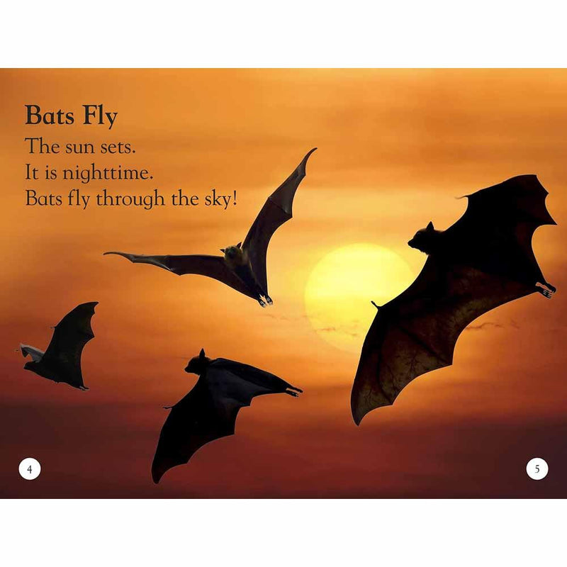 DK Readers - All About Bats: Explore the World of Bats! (Level 1) (Paperback) DK US