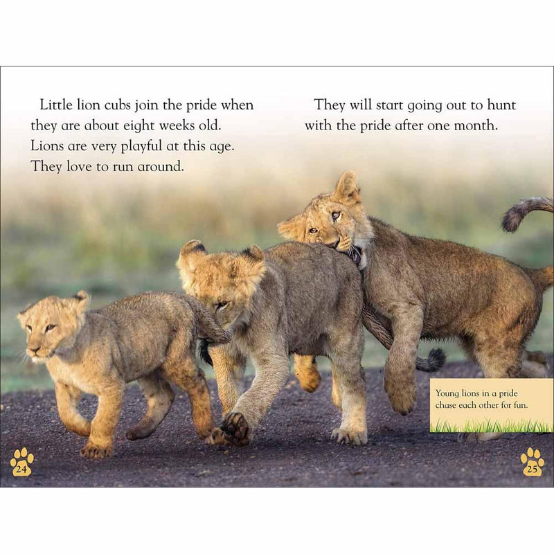 DK Readers - The Lion's Tale (Level 2) (Paperback) DK US