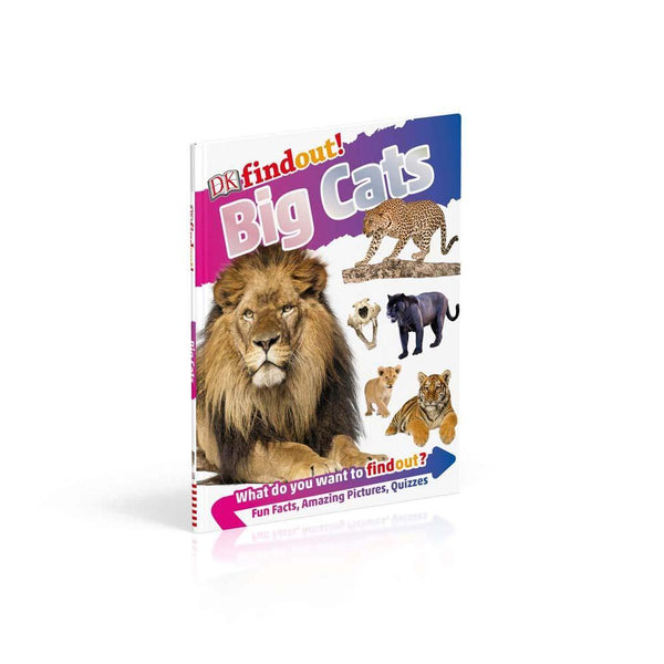 DKfindout! Big Cats (Paperback) DK UK
