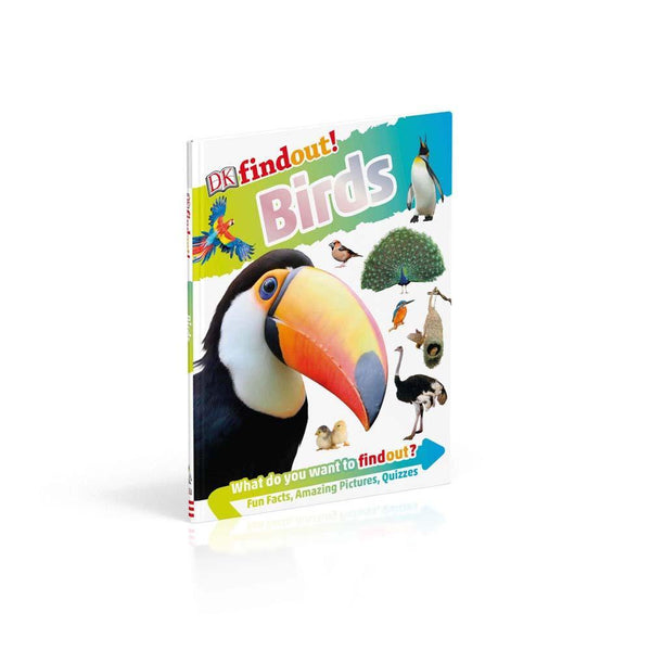 DKfindout! Birds (Paperback) DK UK