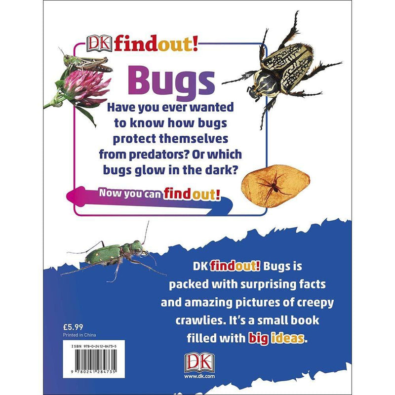 DKfindout! Bugs (Paperback) DK UK