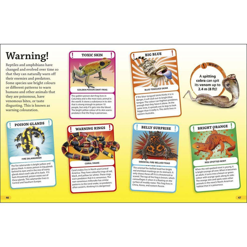 DKfindout! Reptiles and Amphibians (Paperback) DK UK