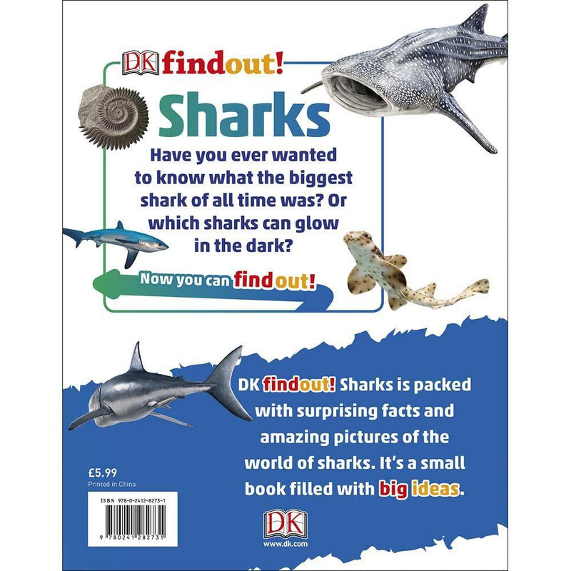 DKfindout! Sharks (Paperback) DK UK