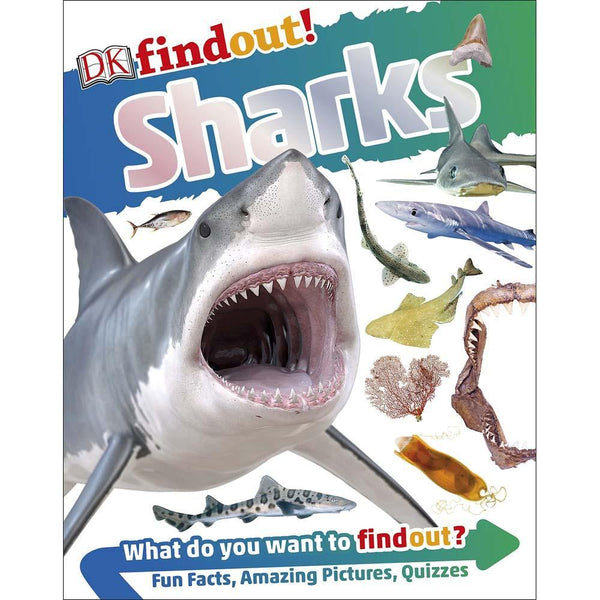 DKfindout! Sharks (Paperback) DK UK
