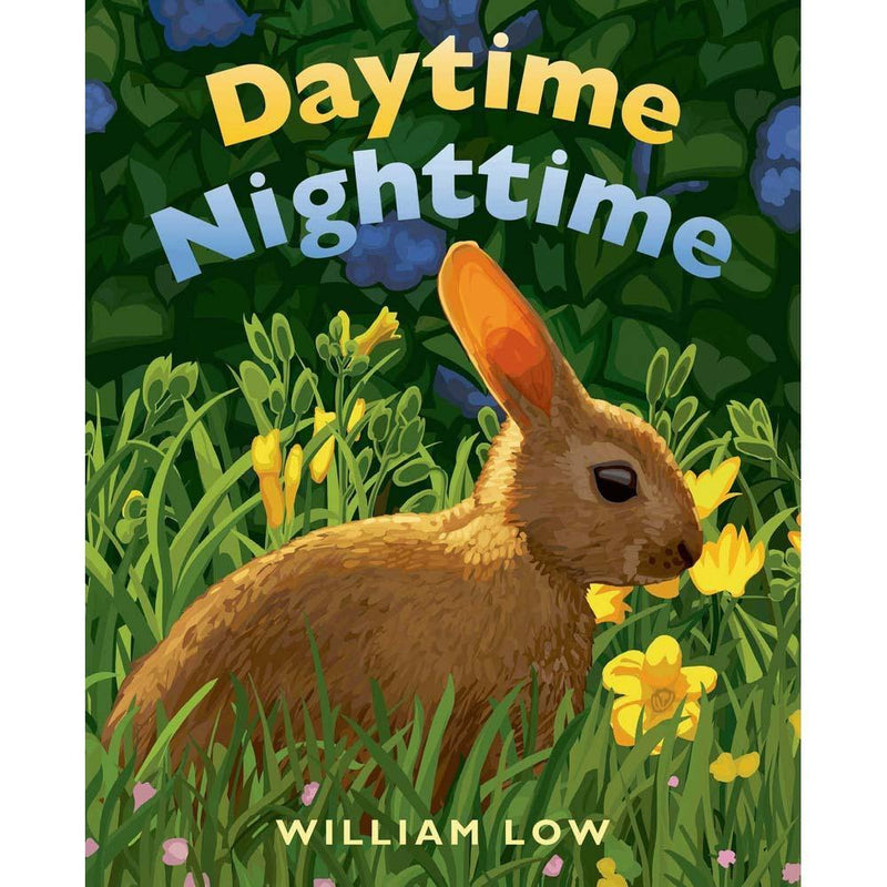 Daytime Nighttime (Board Book) Macmillan US