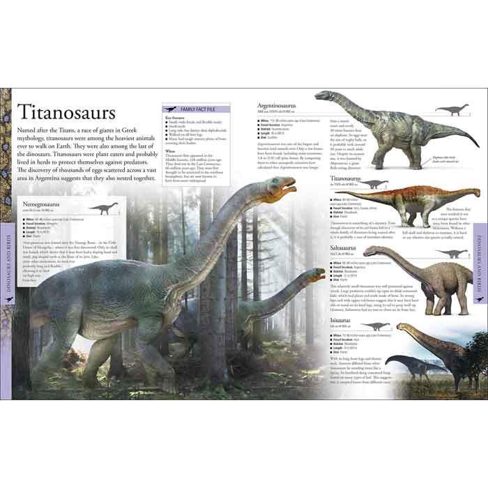 Dinosaurs A Children's Encyclopedia (Hardback) DK UK
