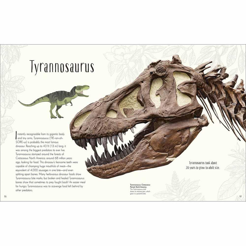 Dinosaurs and Other Prehistoric Life (Hardback) DK US