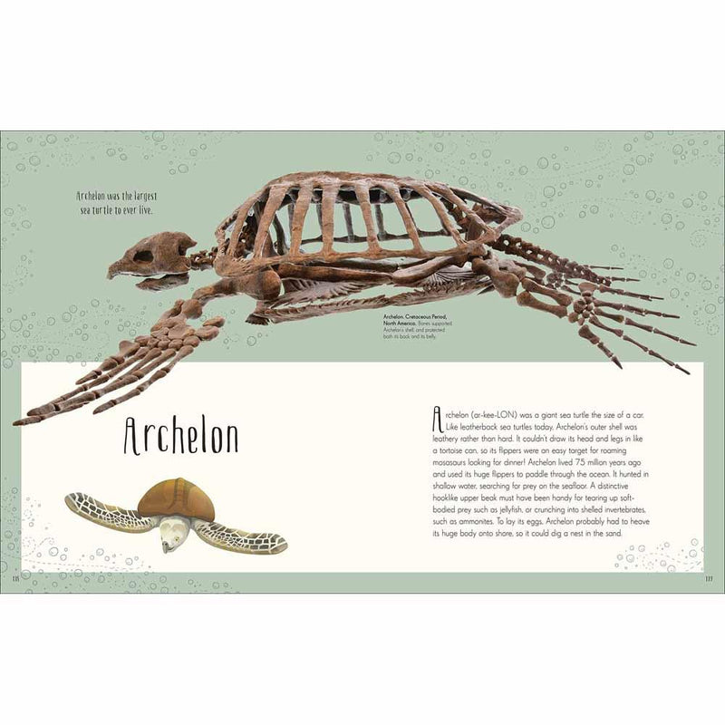 Dinosaurs and Other Prehistoric Life (Hardback) DK US