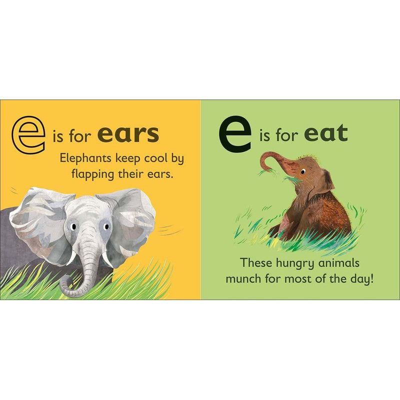 E is for Elephant (Board book) DK UK