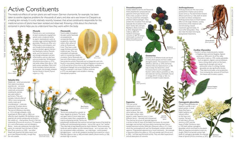 Encyclopedia Of Herbal Medicine - 買書書 BuyBookBook