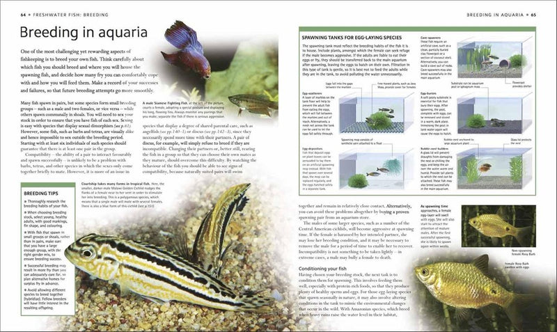 Encyclopedia of Aquarium and Pond Fish DK UK