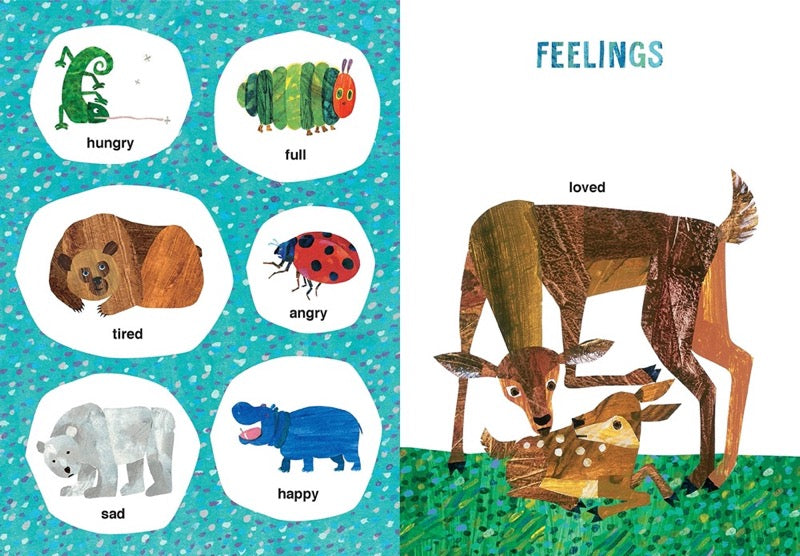 Eric Carle's Book of Many Things - 買書書 BuyBookBook
