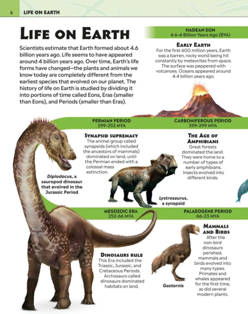 Extraordinary Dinosaurs and Other Prehistoric Life Visual Encyclopedia-Nonfiction: 動物植物 Animal & Plant-買書書 BuyBookBook