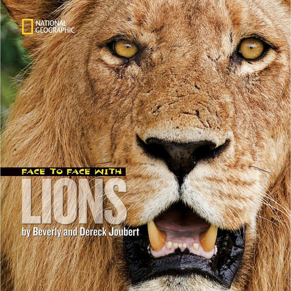 Face to Face with: Lions National Geographic