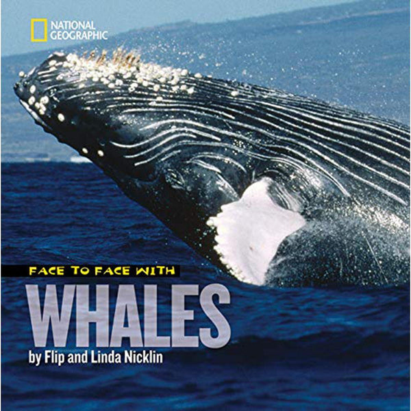 Face to Face with: Whales National Geographic
