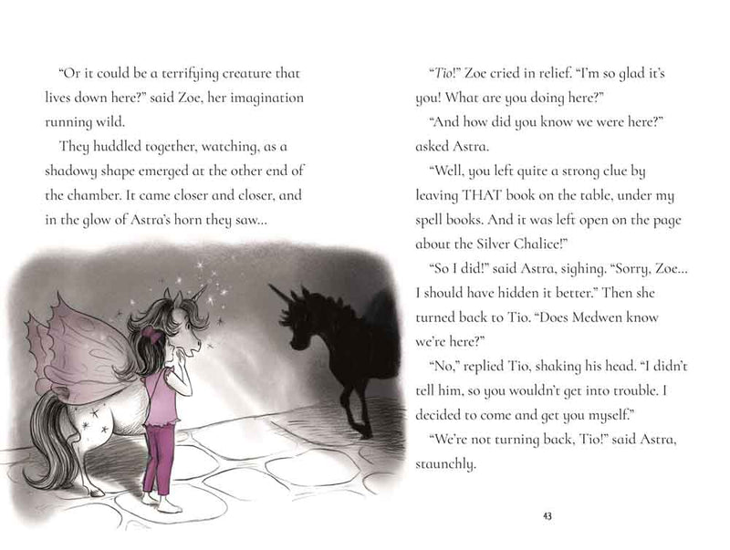 Fairy Unicorns The Treasure Quest (Zanna Davidson) - 買書書 BuyBookBook