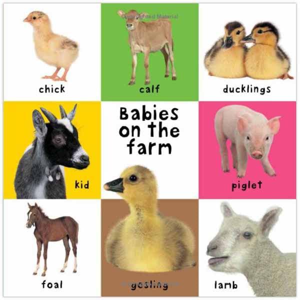 First 100 Animals Padded (Big Size)(Board Book) Priddy