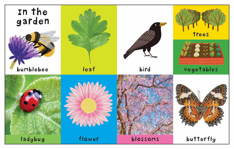 First 100 Padded - Nature Words (Board Book) - 買書書 BuyBookBook