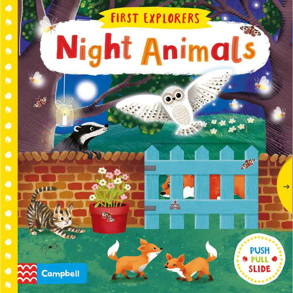 First Explorers - Night Animals - 買書書 BuyBookBook