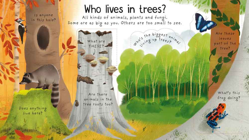 First Questions and Answers  Why do we need trees? - 買書書 BuyBookBook