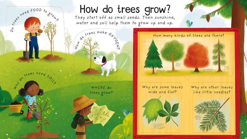 First Questions and Answers  Why do we need trees? - 買書書 BuyBookBook