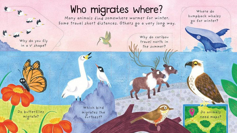 First Questions and Answers : Where Do Animals Go in Winter?-Nonfiction: 學前基礎 Preschool Basics-買書書 BuyBookBook