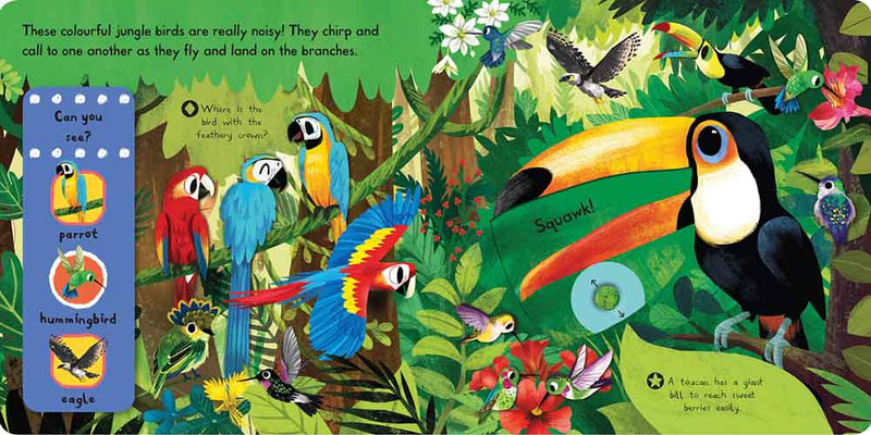 First Explorers - Beautiful Birds - 買書書 BuyBookBook