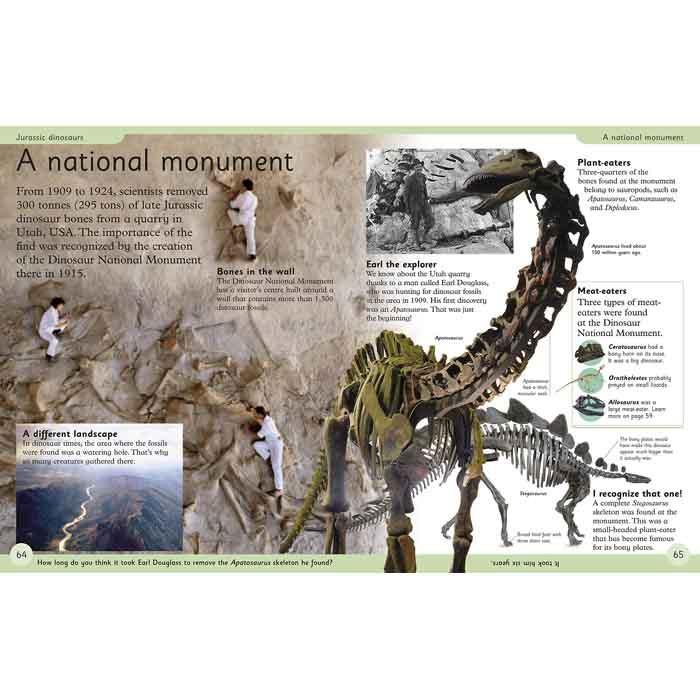 First Dinosaur Encyclopedia DK UK