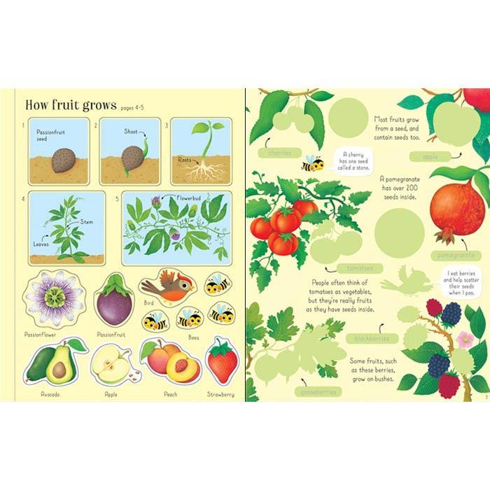 First Sticker Book Fruit and Vegetables Usborne