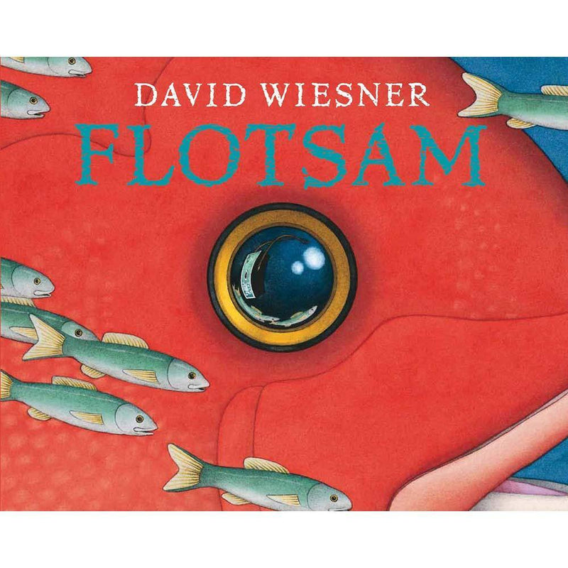 Flotsam (Paperback) Walker UK