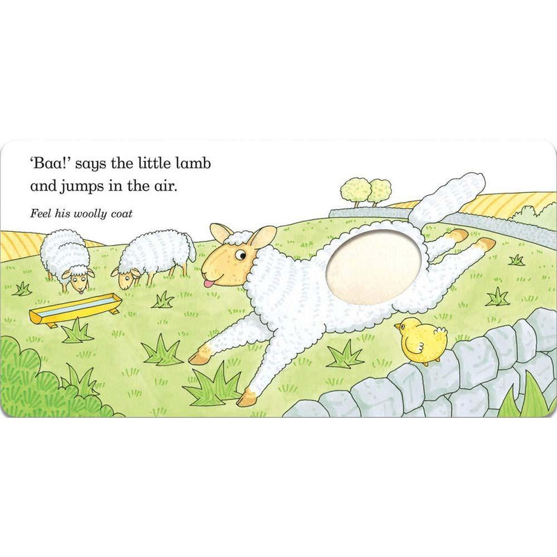 Fluffy Chick (Board Book) (Rod Campbell) Campbell