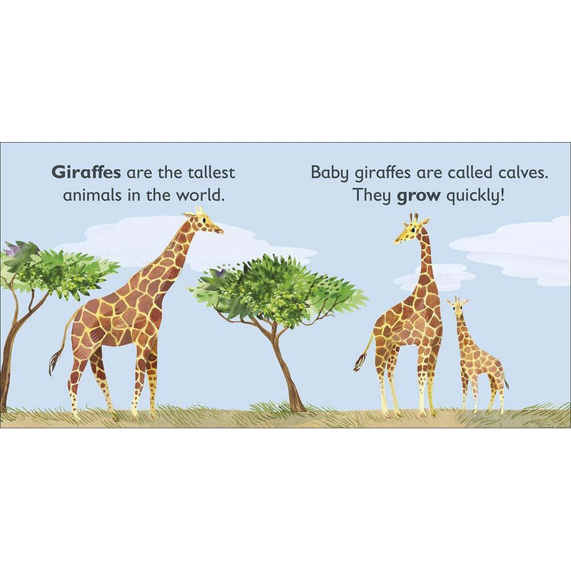 G is for Giraffe (Board book) DK UK