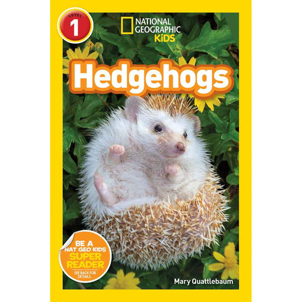 Hedgehogs (L1) (National Geographic Readers) - 買書書 BuyBookBook