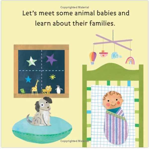 Hello, World! Baby Animals (Board Book) PRHUS