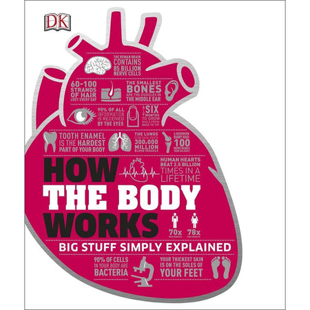 How the Body Works - The Facts Visually Explained (Hardback) DK UK
