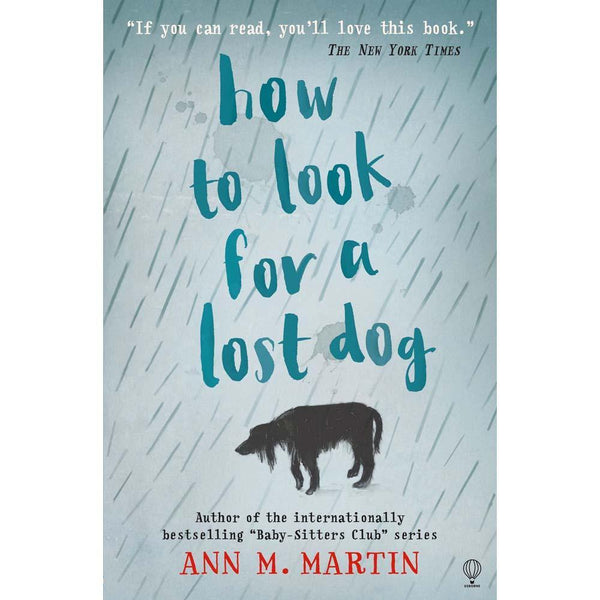 How to Look for a Lost Dog (Ann M. Martin) Usborne